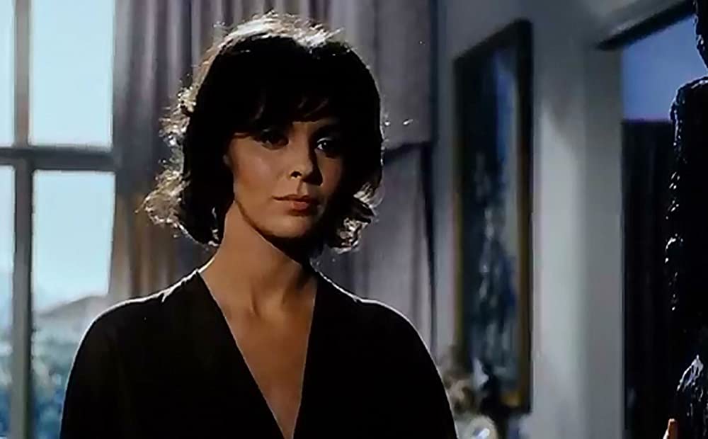 チャップマン報告（レポート）の画像