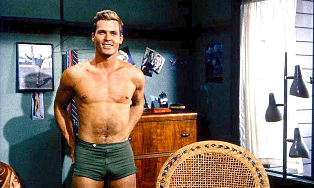 チャップマン報告（レポート）の画像