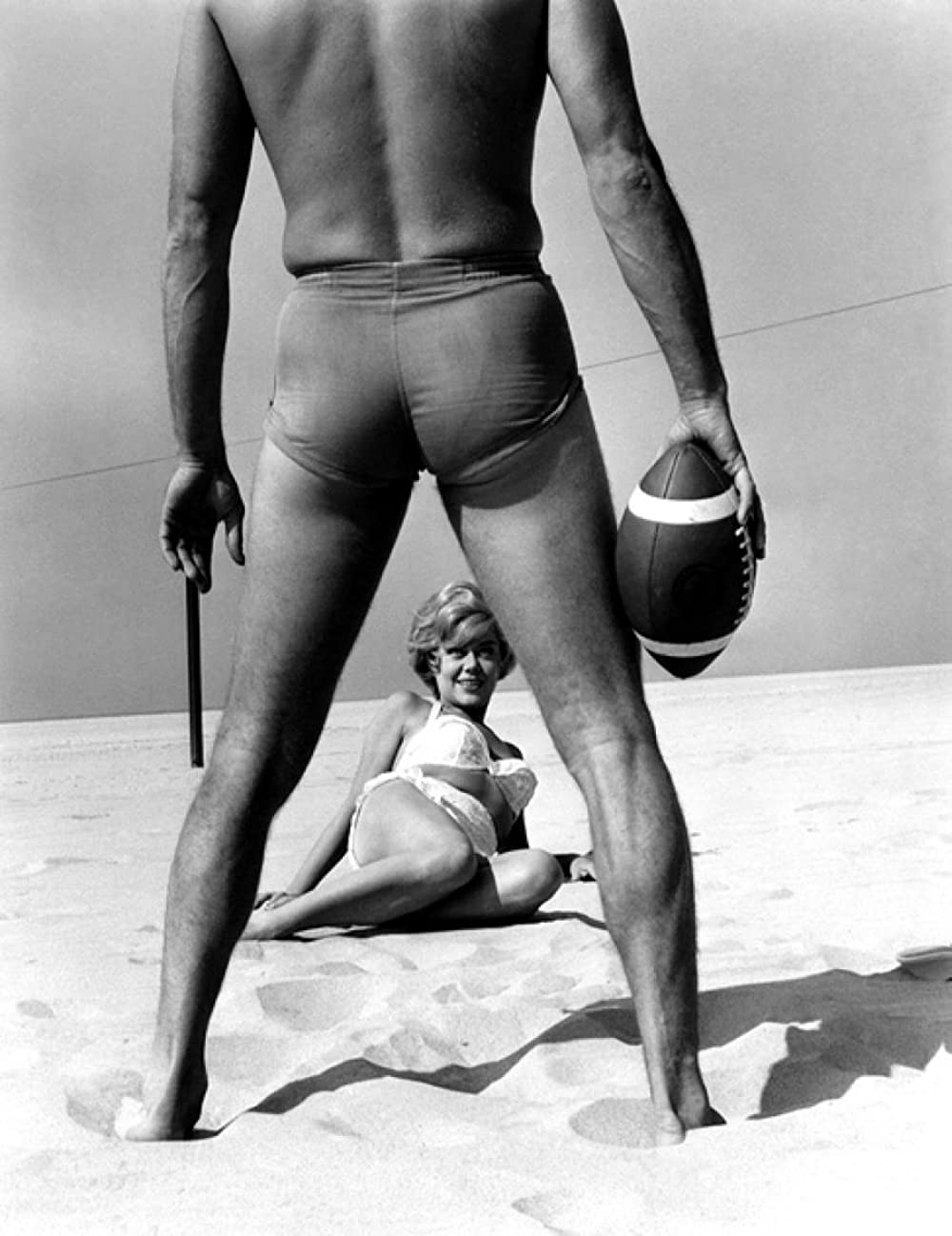 チャップマン報告（レポート）の画像