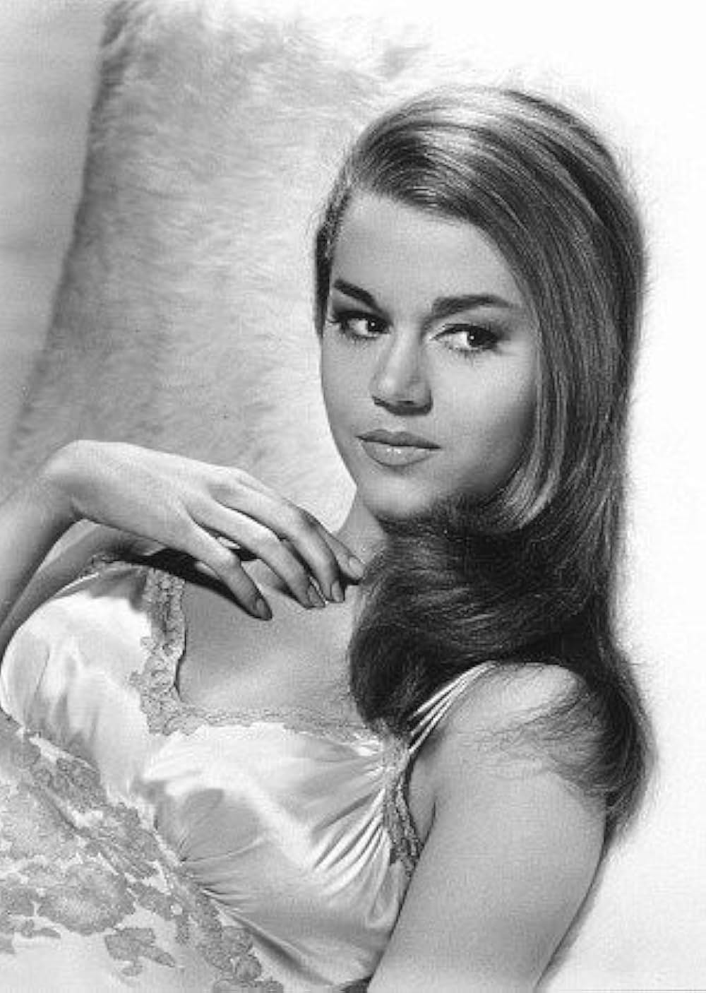 チャップマン報告（レポート）の画像