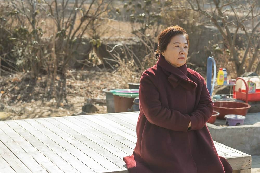 母とわたしの３日間の画像