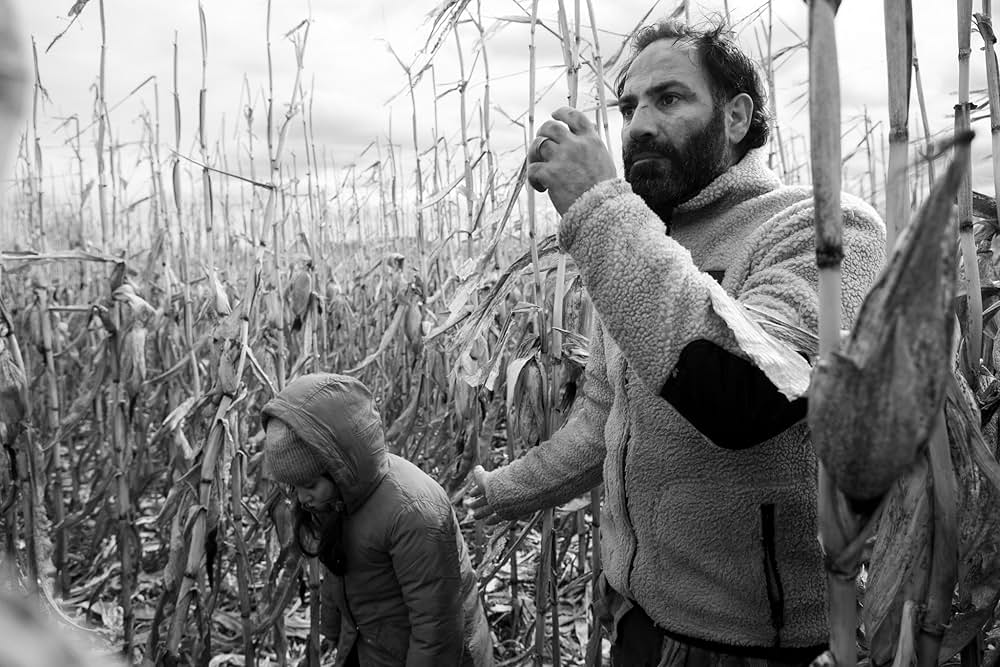 人間の境界の画像