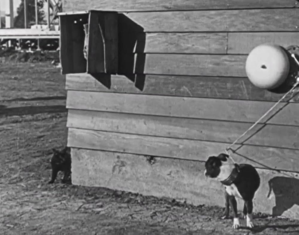 キートンのハイ・サインの画像