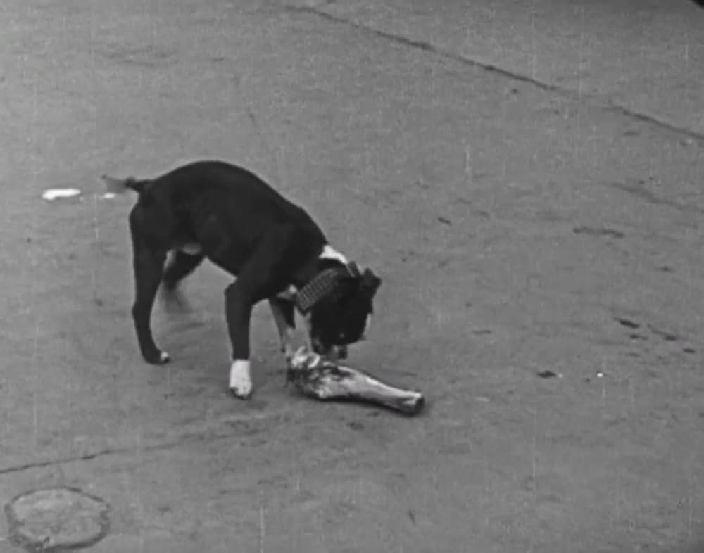 キートンのハイ・サインの画像