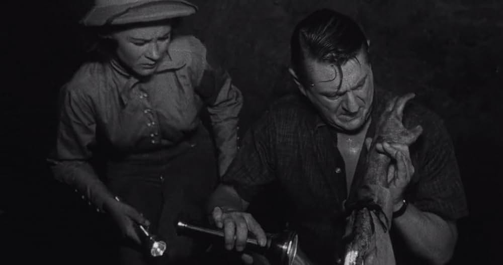 遊星から来た脳生物の画像