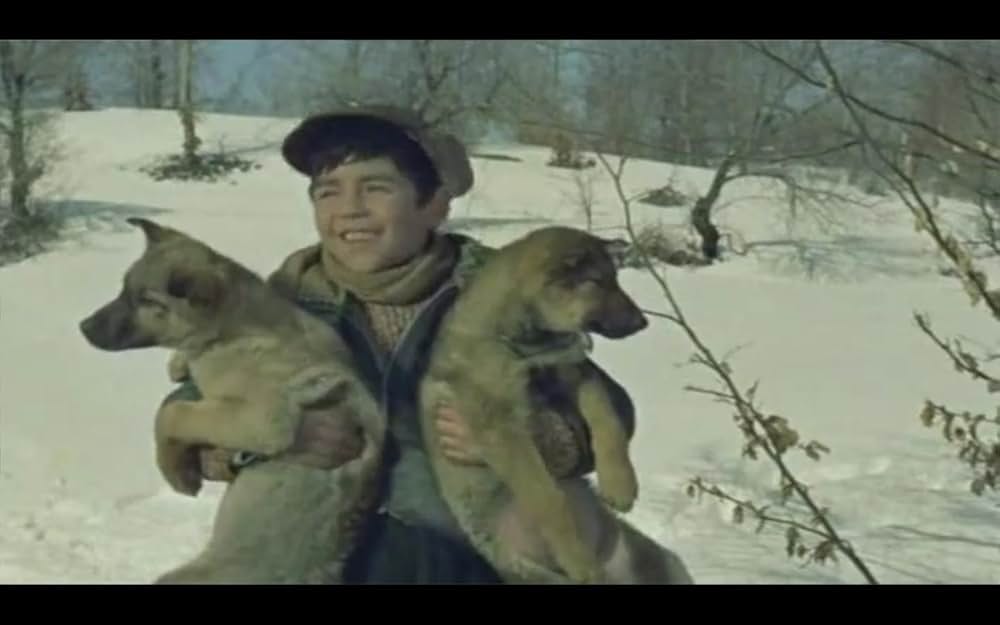 人間と狼の画像