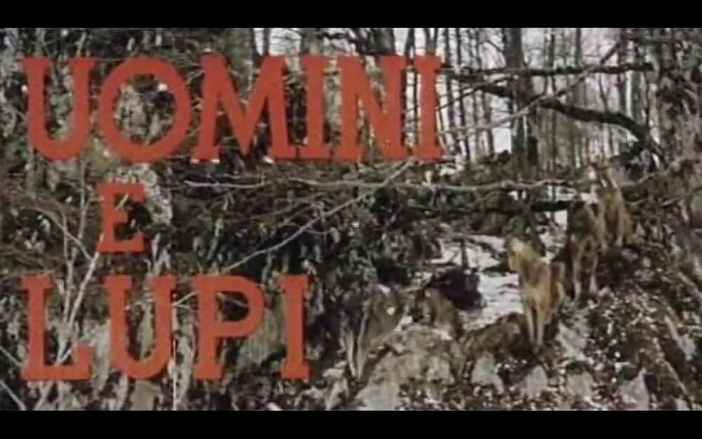 人間と狼の画像