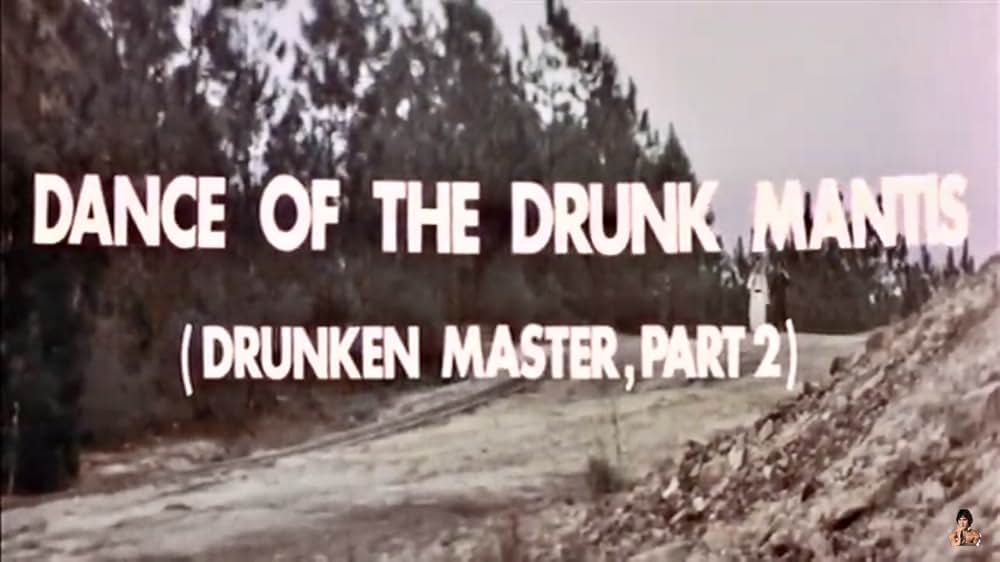 南北酔拳の画像