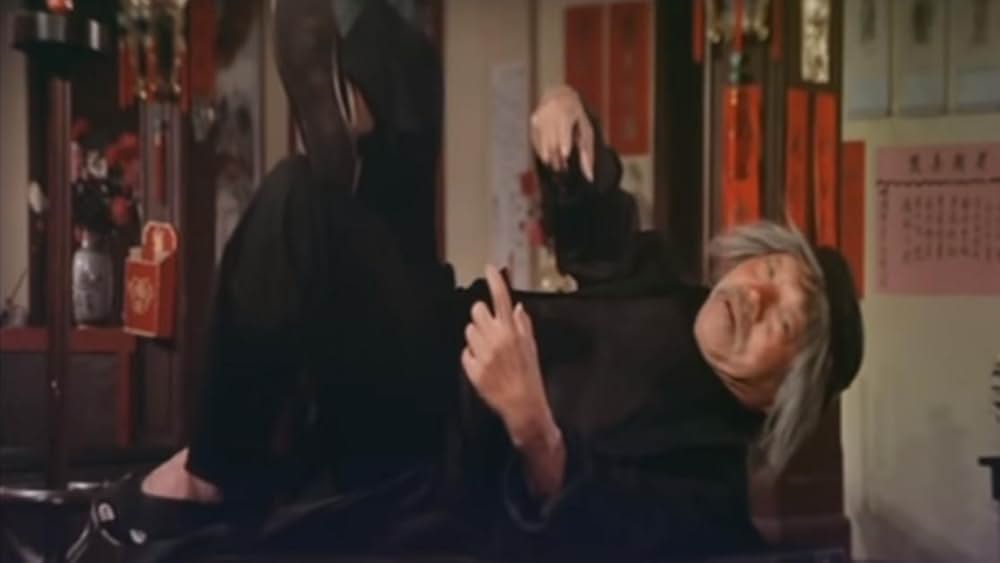 南北酔拳の画像