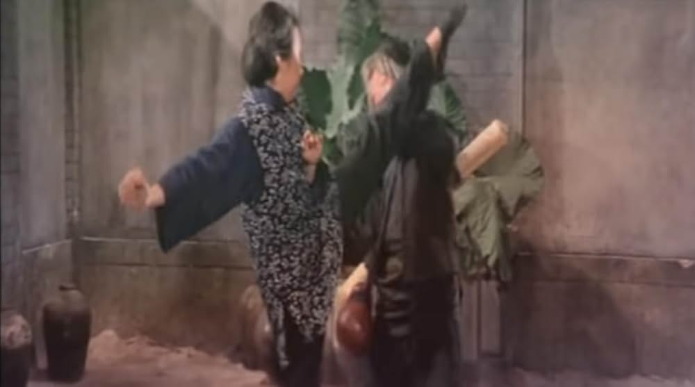 南北酔拳の画像