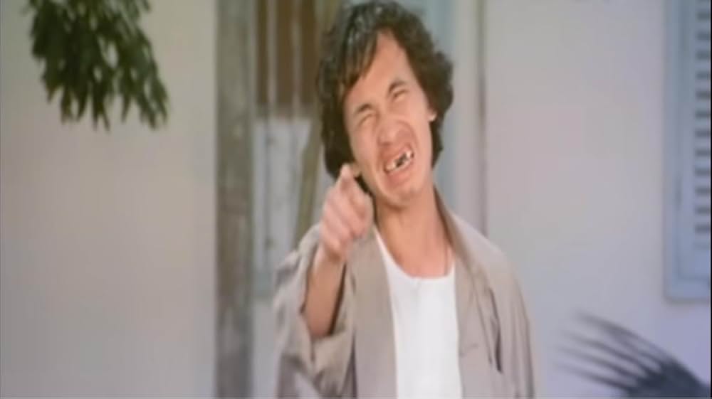 南北酔拳の画像