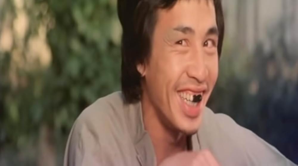 南北酔拳の画像