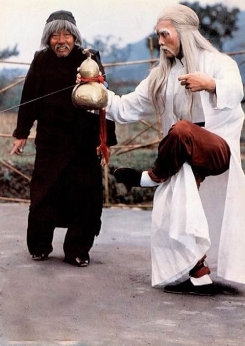 南北酔拳の画像