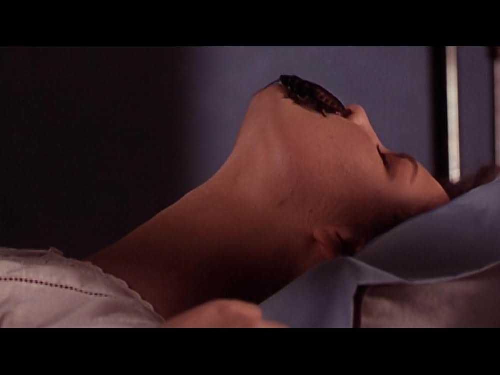 アベレーション2の画像