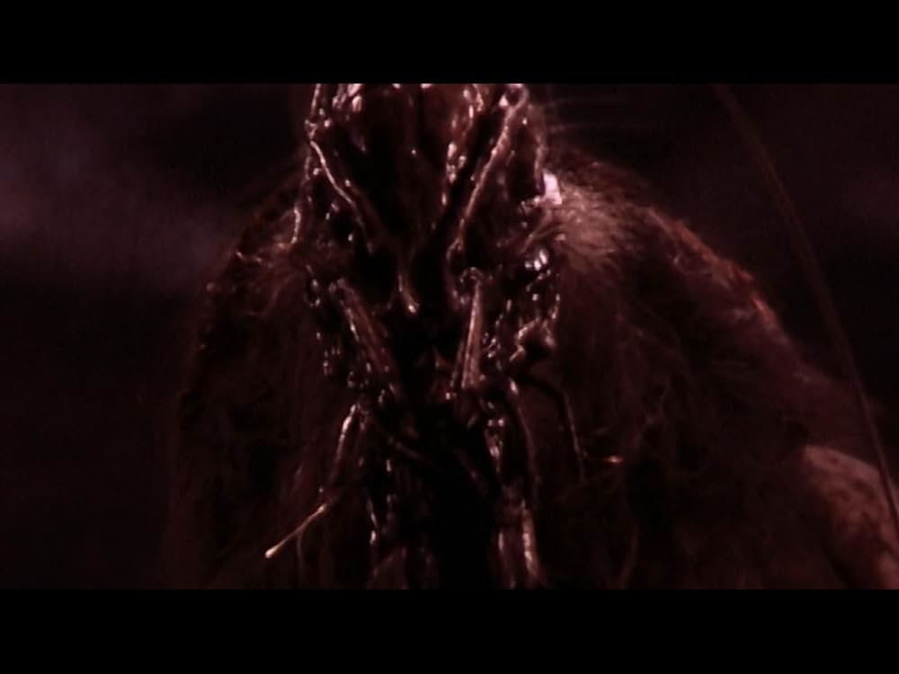 アベレーション2の画像