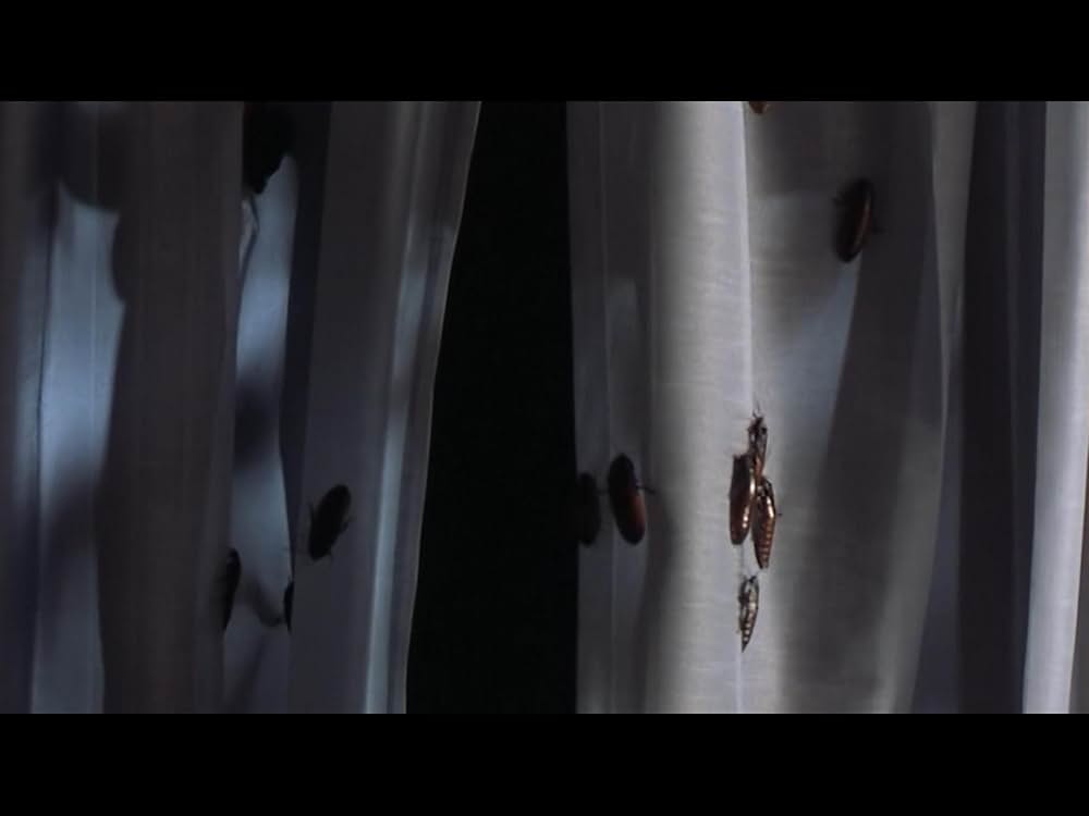 アベレーション2の画像