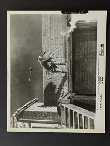 砦のガンベルトの画像