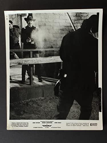 砦のガンベルトの画像