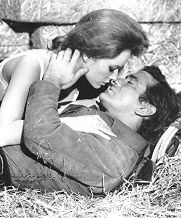 砦のガンベルトの画像