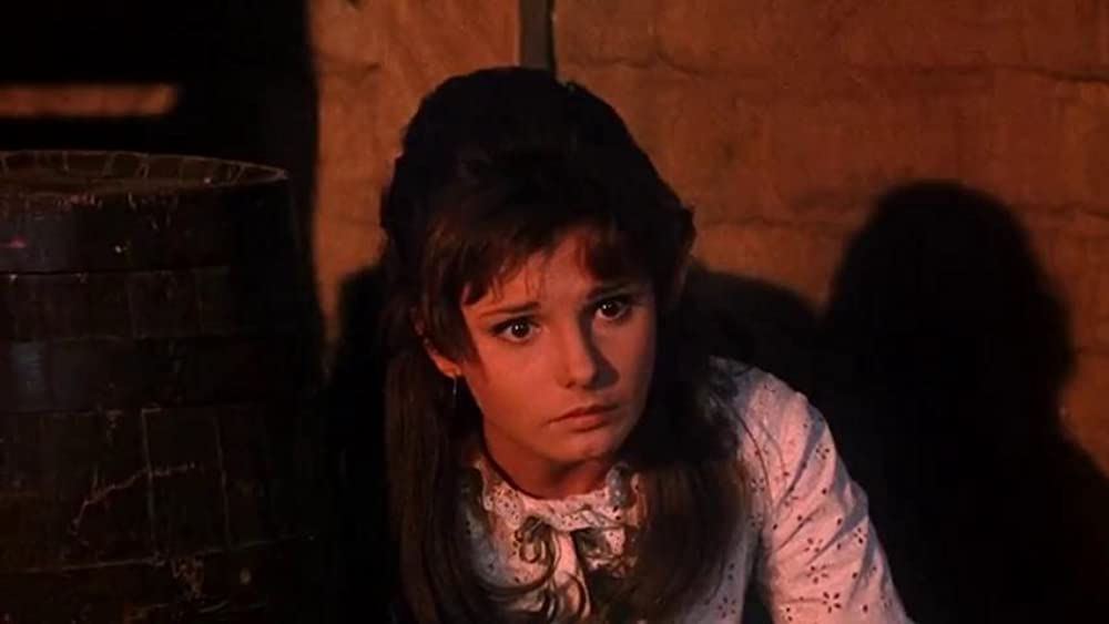 砦のガンベルトの画像