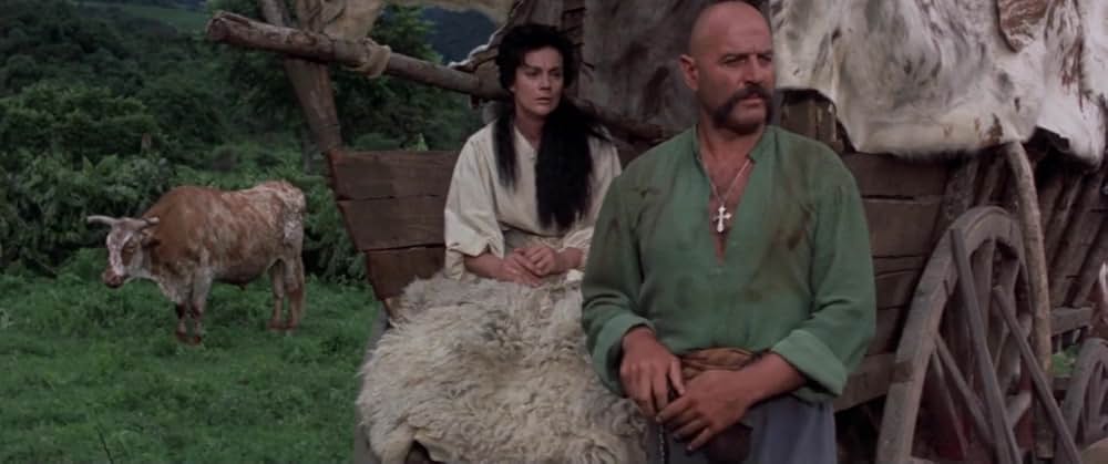 隊長ブーリバの画像