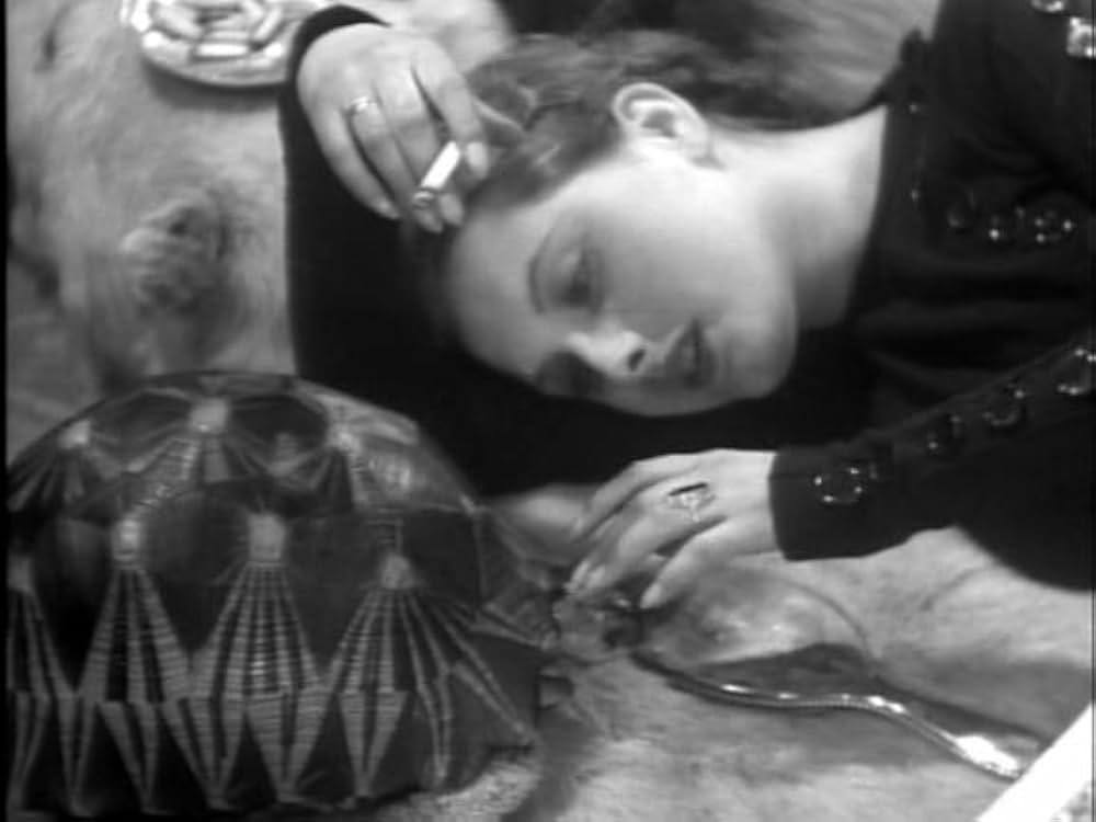 十字路の夜の画像