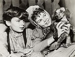 不思議な世界の物語の画像