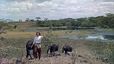 ハタリ！の画像