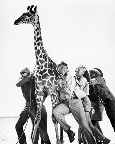 「ハタリ！」ジョン・ウェイン & ハーディ・クリューガー & エルザ・マルティネリの画像