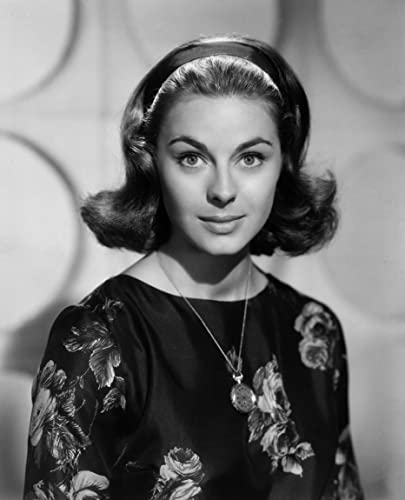 ハタリ！の画像