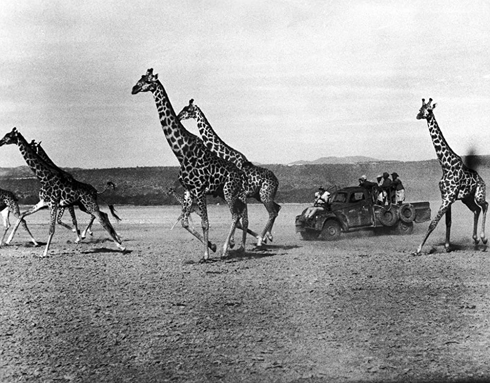 ハタリ！の画像