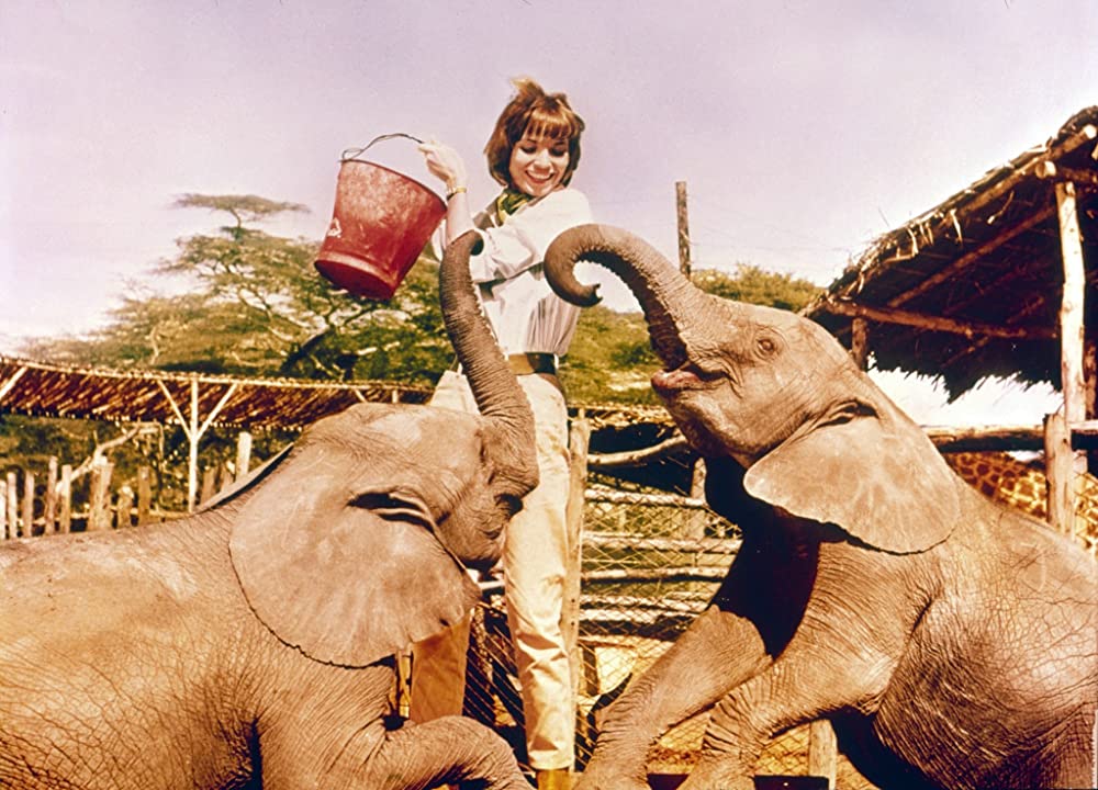 「ハタリ！」エルザ・マルティネリの画像