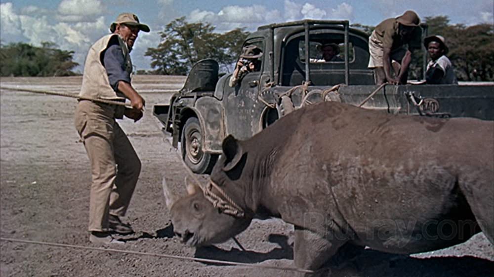 ハタリ！の画像