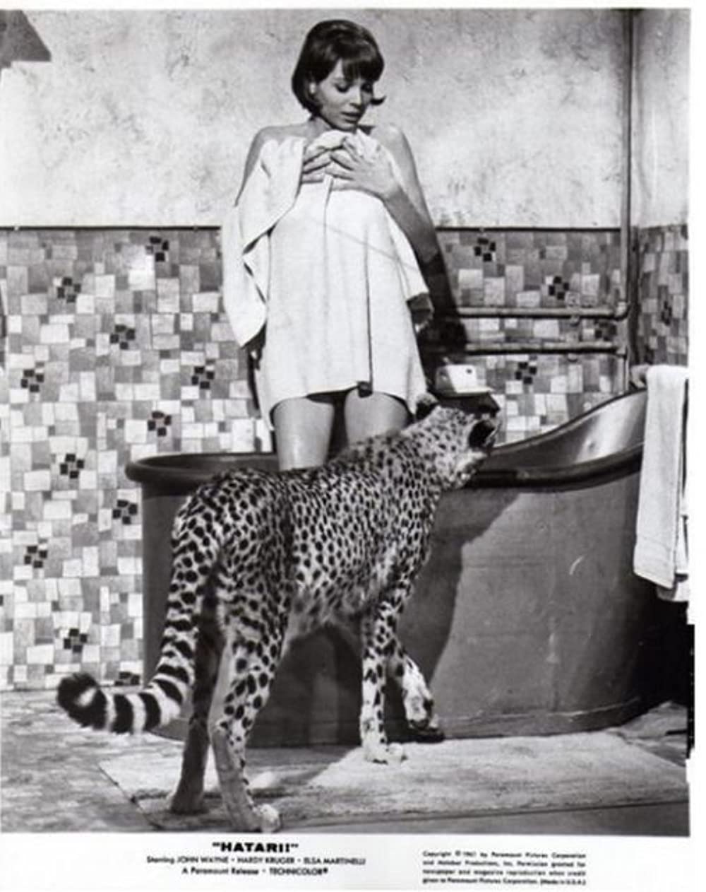 「ハタリ！」エルザ・マルティネリの画像