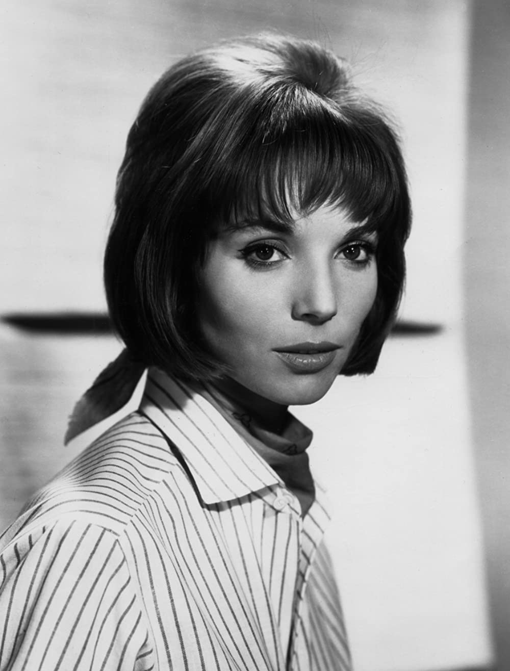 「ハタリ！」エルザ・マルティネリの画像