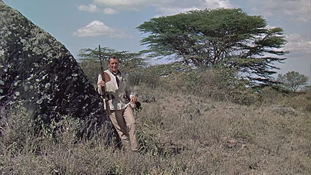 ハタリ！の画像