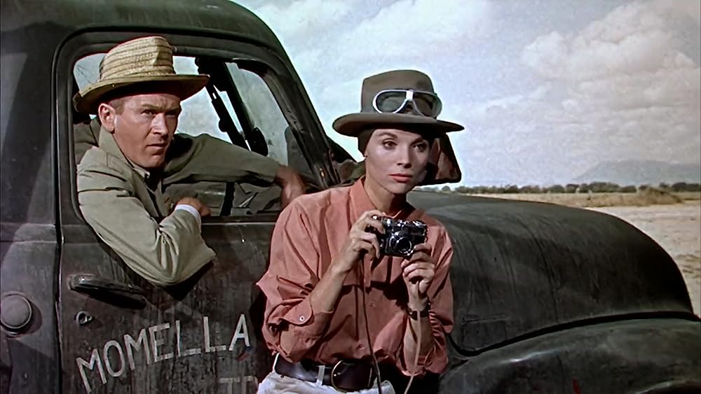 ハタリ！の画像