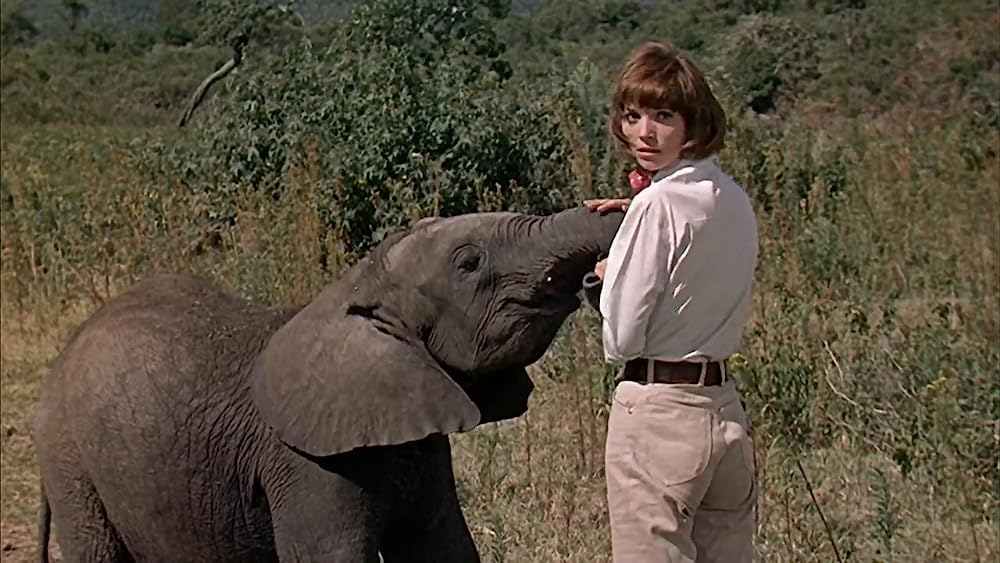 「ハタリ！」エルザ・マルティネリの画像