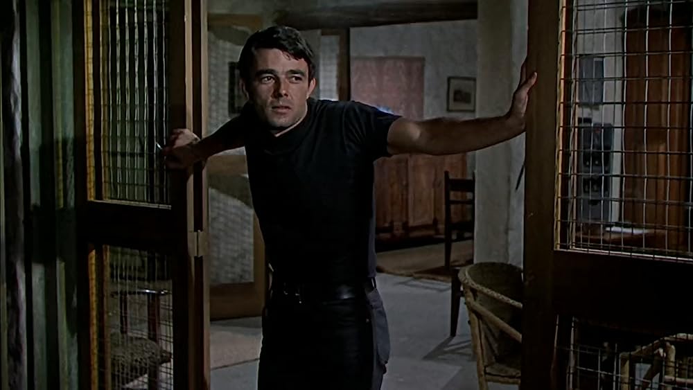 「ハタリ！」ジェラール・ブランの画像