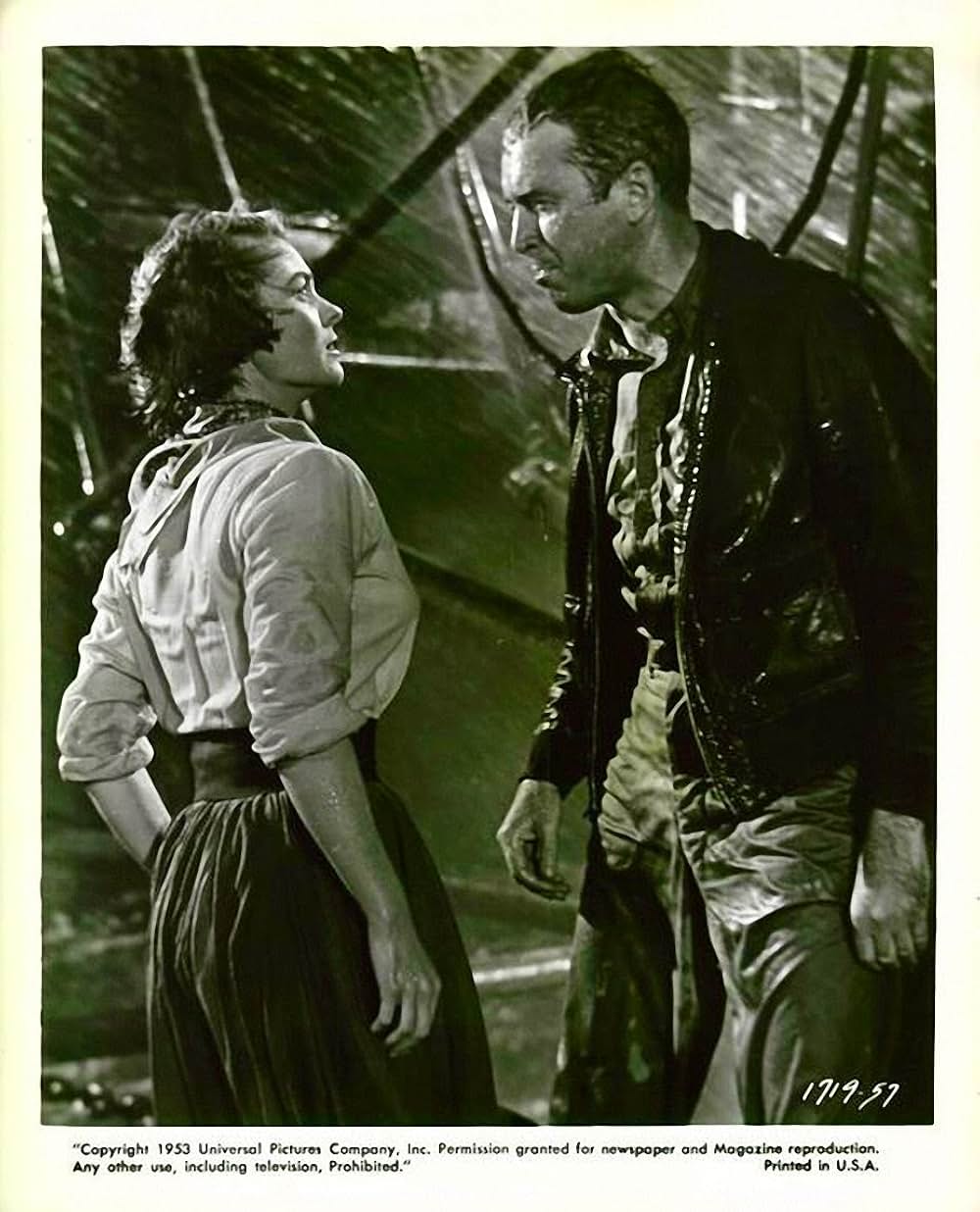 雷鳴の湾の画像