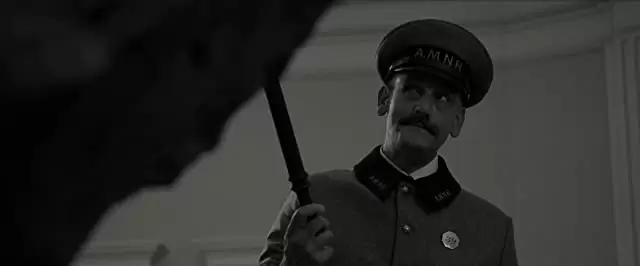 ワンダーストラックの画像