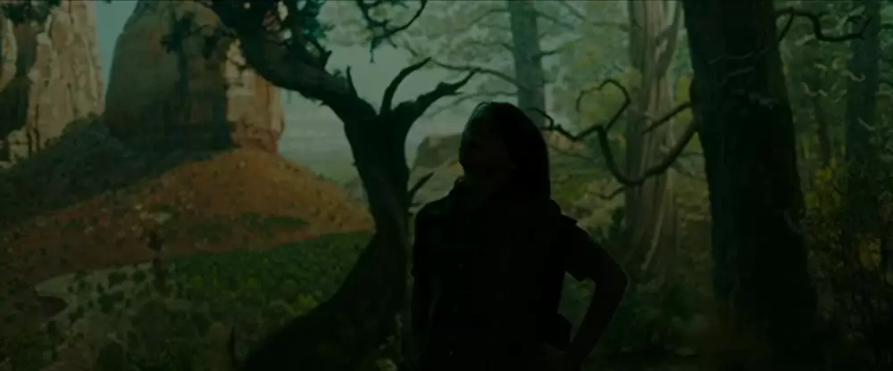 ワンダーストラックの画像