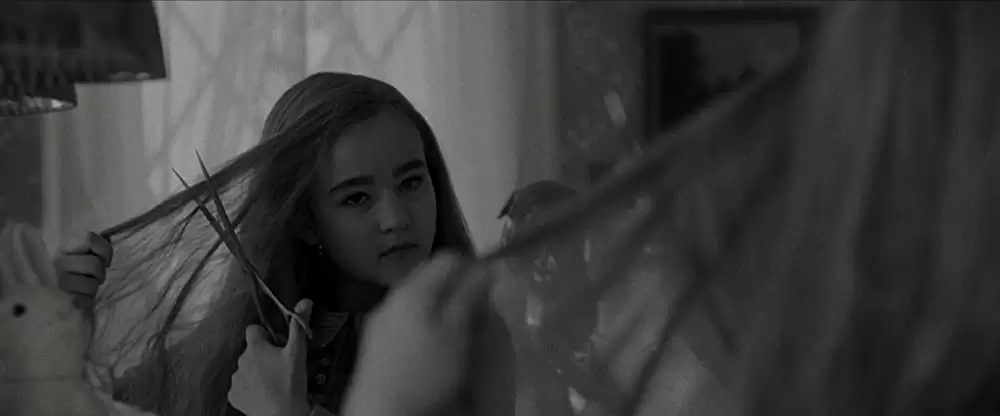 ワンダーストラックの画像