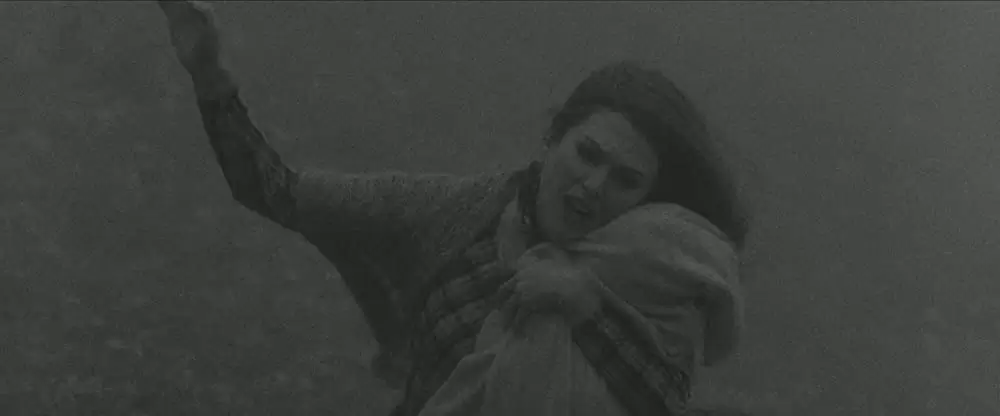 ワンダーストラックの画像