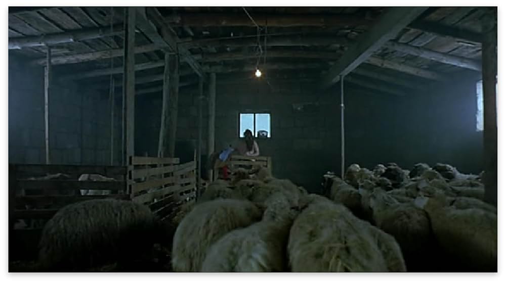 ウォッカ・レモンの画像