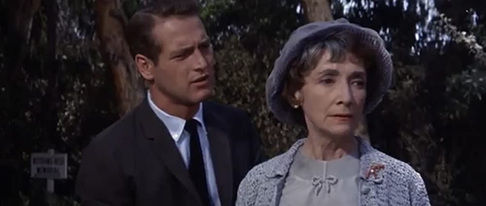 渇いた太陽の画像