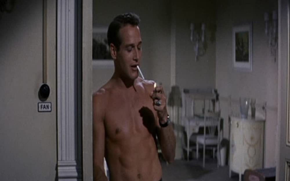 渇いた太陽の画像