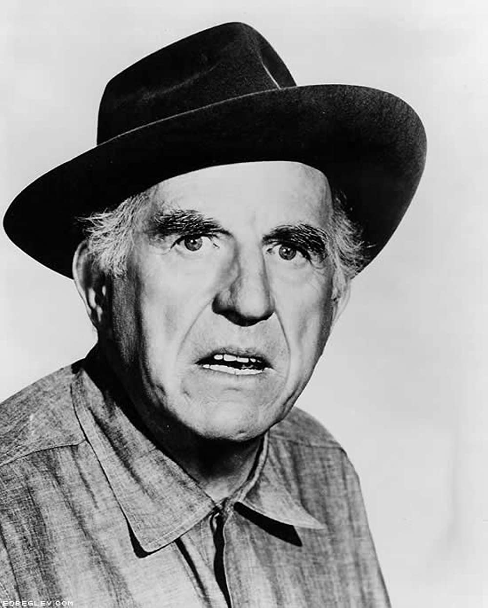 渇いた太陽の画像