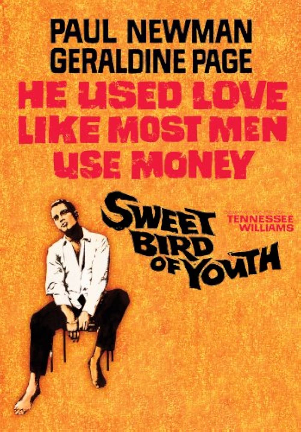 渇いた太陽の画像