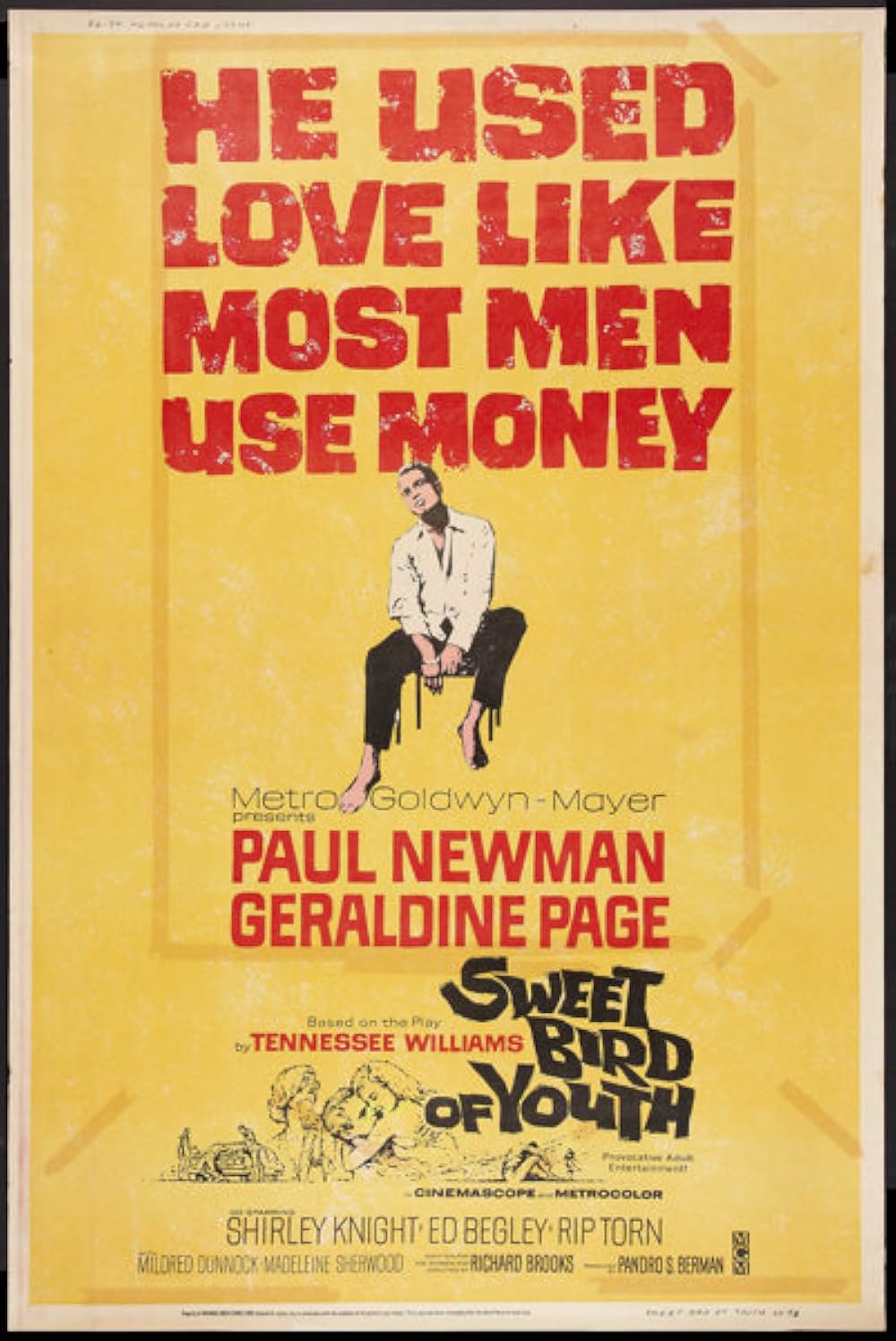 渇いた太陽の画像